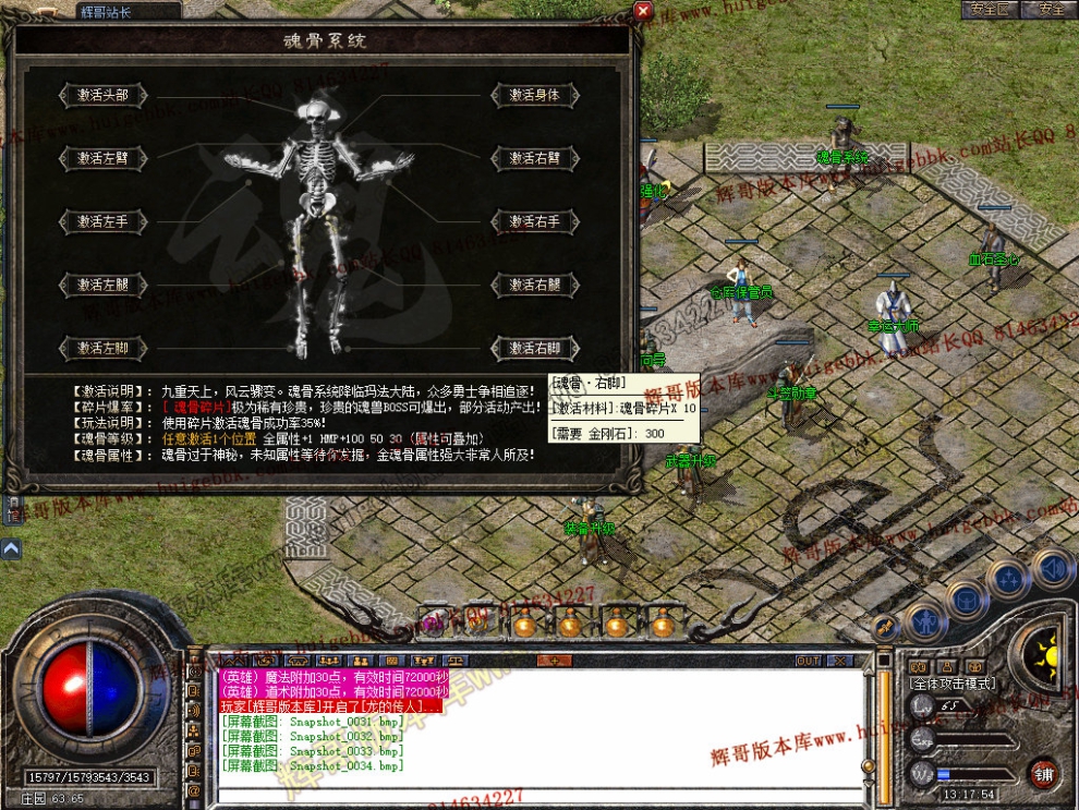 Snapshot_0035.jpg